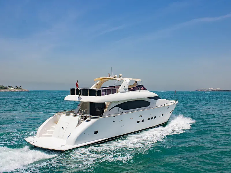 Luxury Motor Yacht (ID=18316) - фото 2