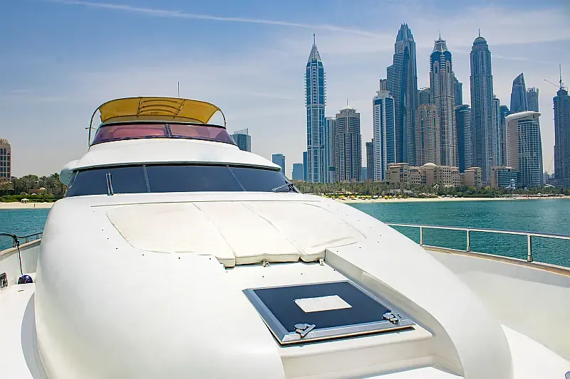 Luxury Motor Yacht (ID=18316) - фото 10