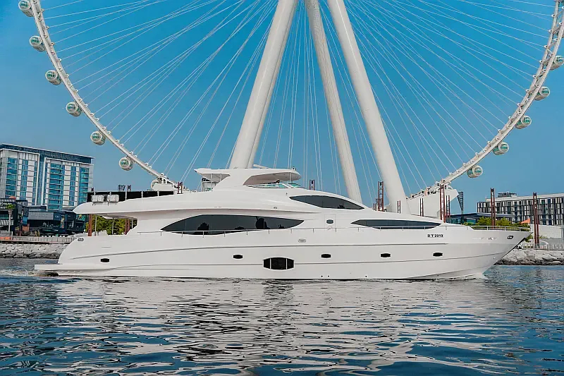 Luxury Motor Yacht (ID=18317)