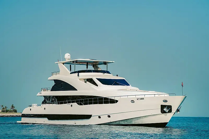 Luxury Motor Yacht (ID=18318) - фото 22