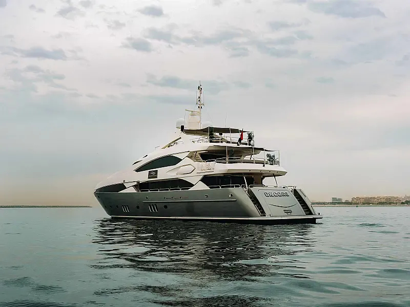 Luxury Motor Yacht (ID=18319)