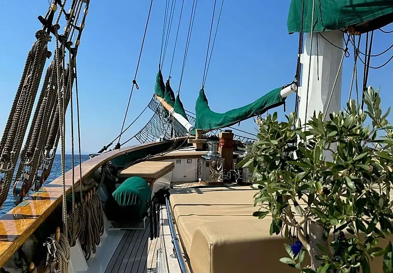 Motor sailer (ID=18405) - фото 4
