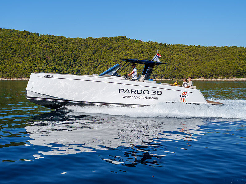 Pardo 38 (ID=18440)
