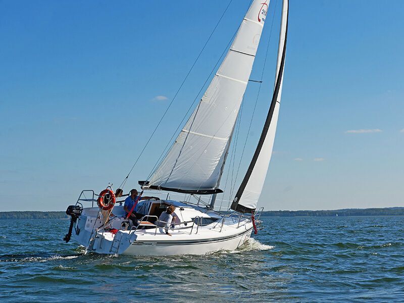 Maxus 28 Standard (ID=21)