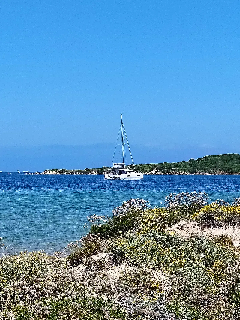 Lagoon 450 Fly (ID=2150) - фото 7