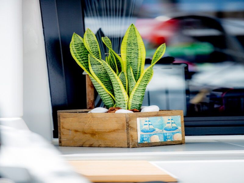 Lagoon 46 (ID=2268) - фото 6