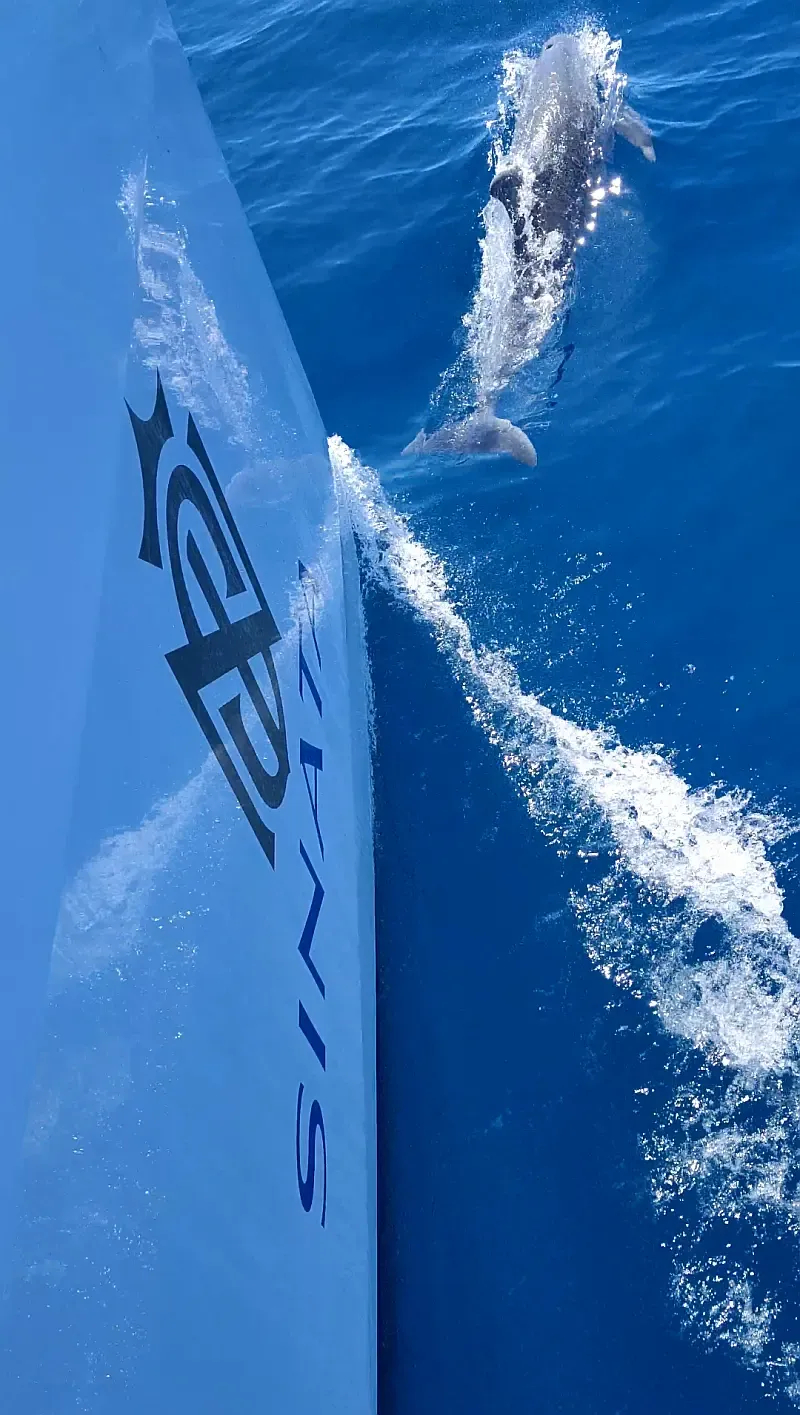 Sunreef 60 (ID=2352) - фото 22