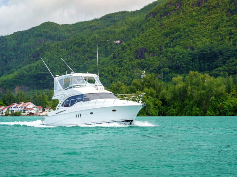 Silverton Ovation 52 (ID=2392) - фото 4