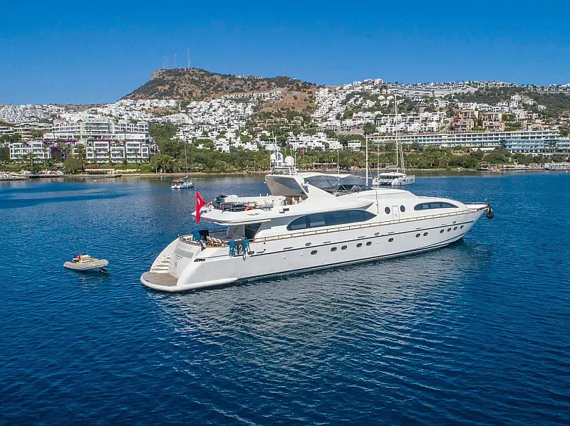 Falcon 115 (ID=2450)