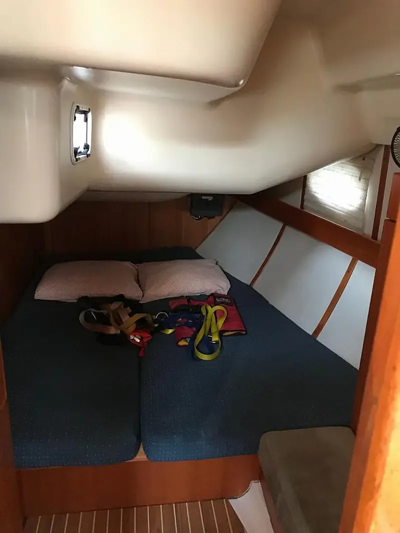 Elan Impression 434 (ID=2785) - фото 10