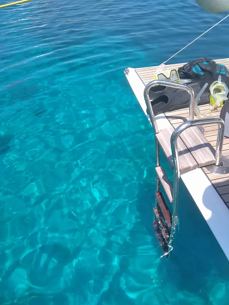 Bavaria 41 Cruiser (ID=3277) - фото 5