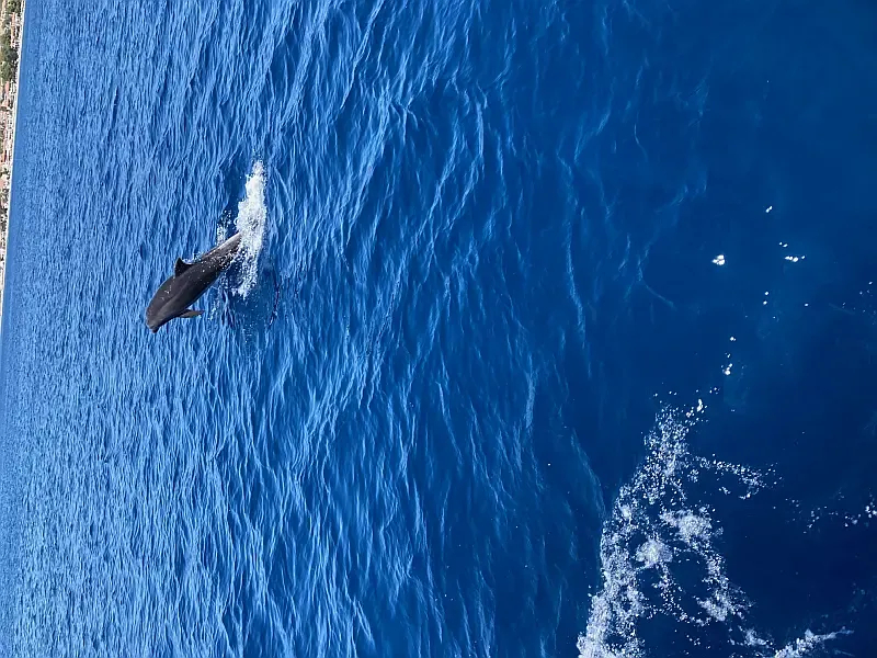 Hanse 342 (ID=45) - фото 6