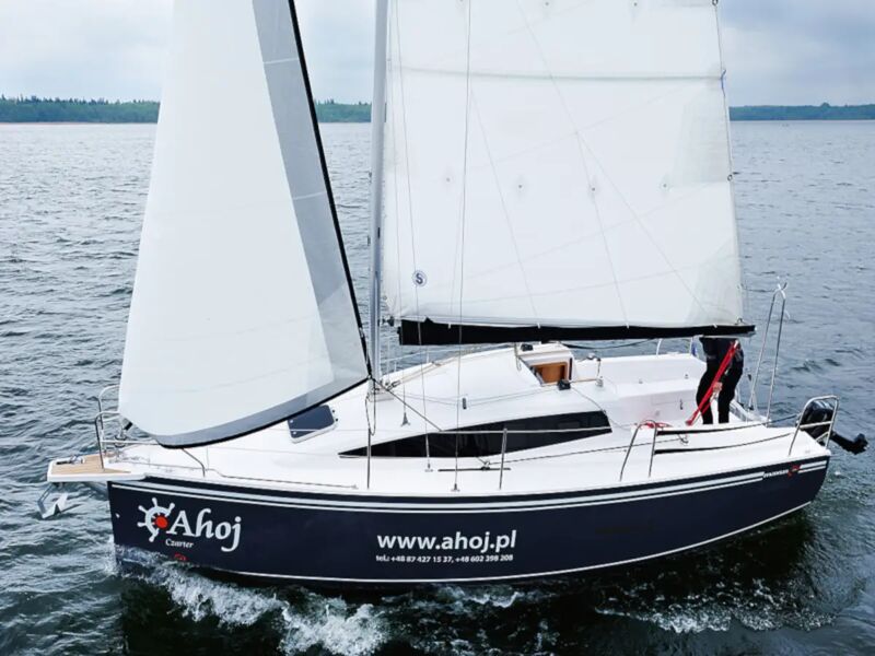 Maxus 26 Prestige (ID=4921) - фото 8