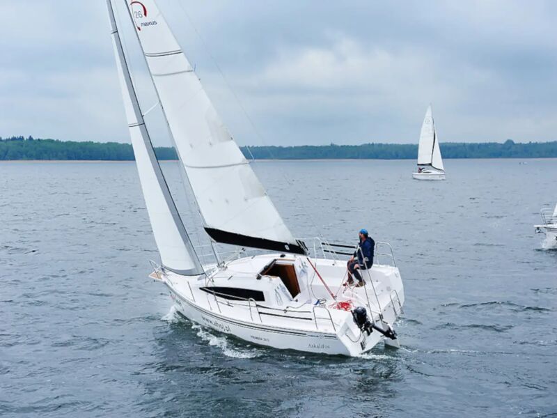 Maxus 26 Prestige (ID=4921) - фото 6
