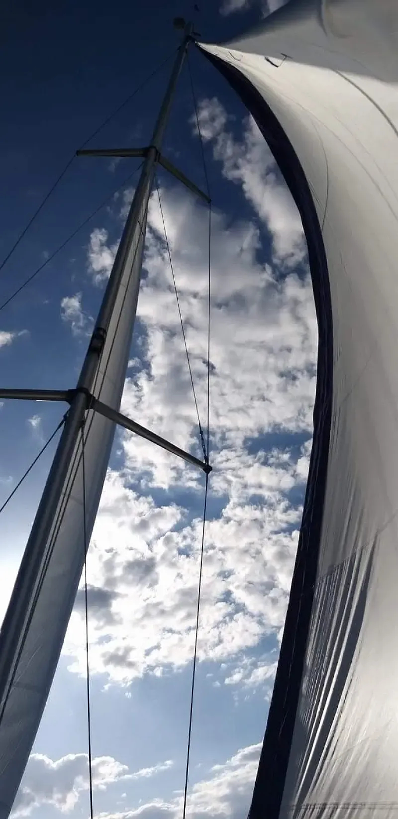 Bavaria 40 Cruiser (ID=4925) - фото 18