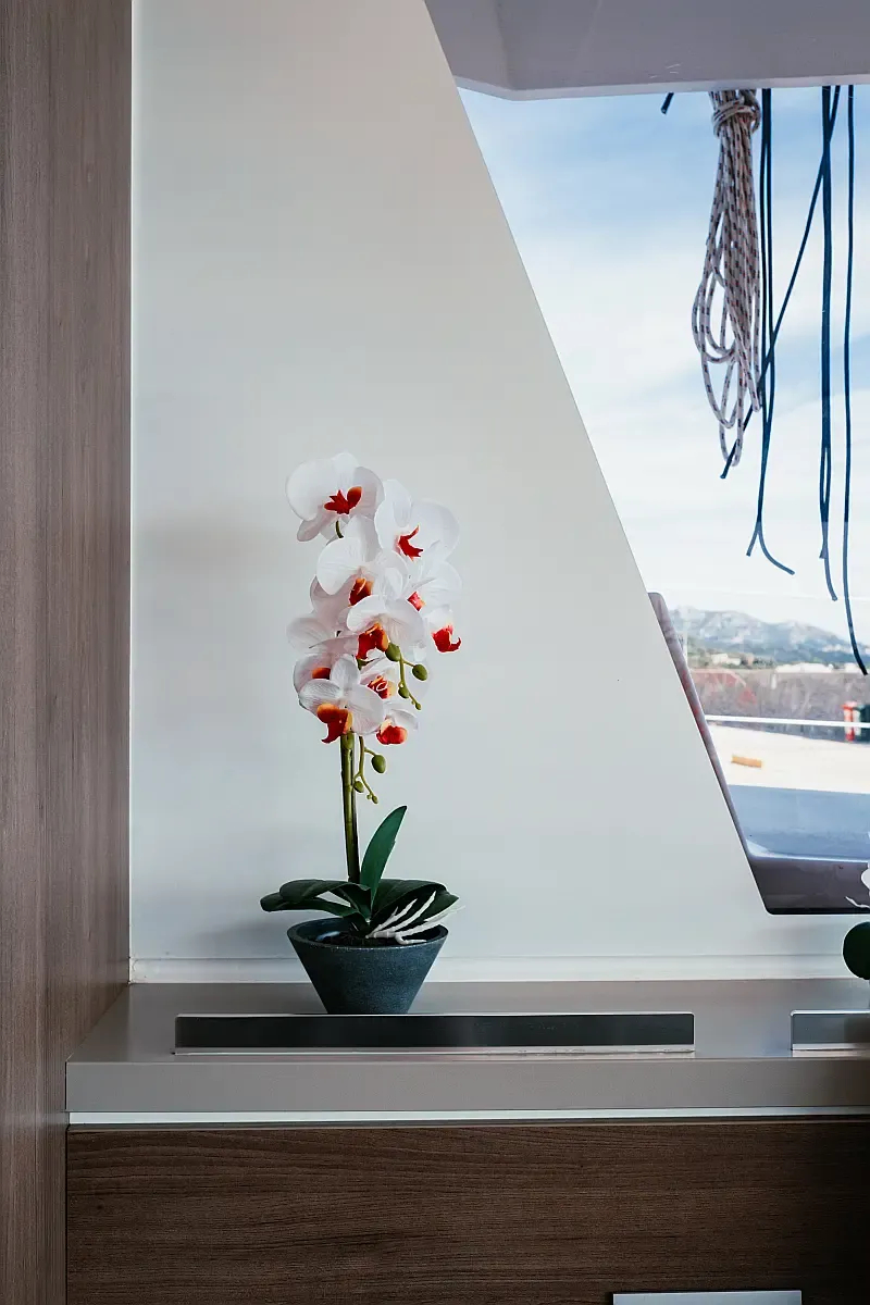 Bali 5.4 (ID=5220) - фото 26