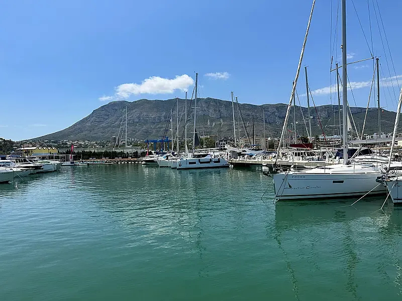 Aventura 37 (ID=5779) - фото 36