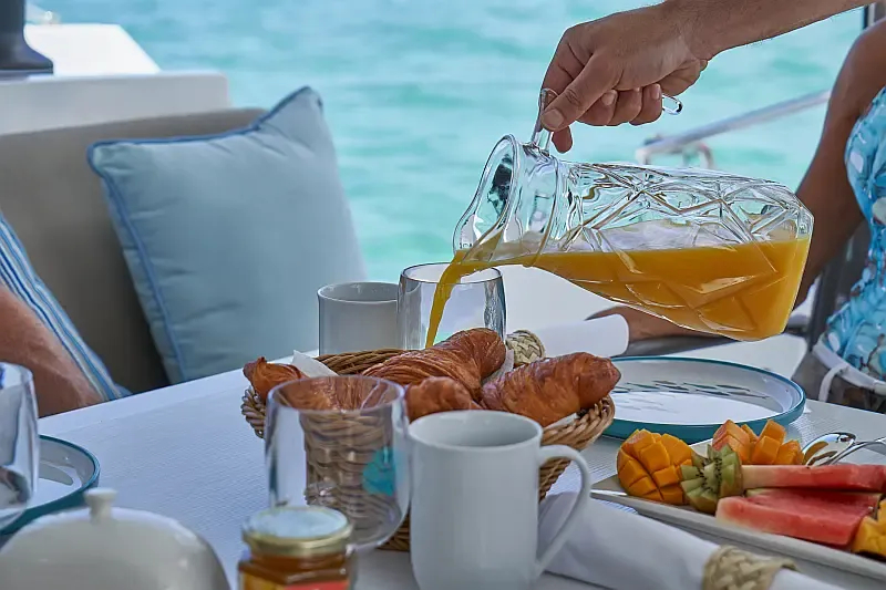 Nautitech 46 Fly (ID=5798) - фото 29