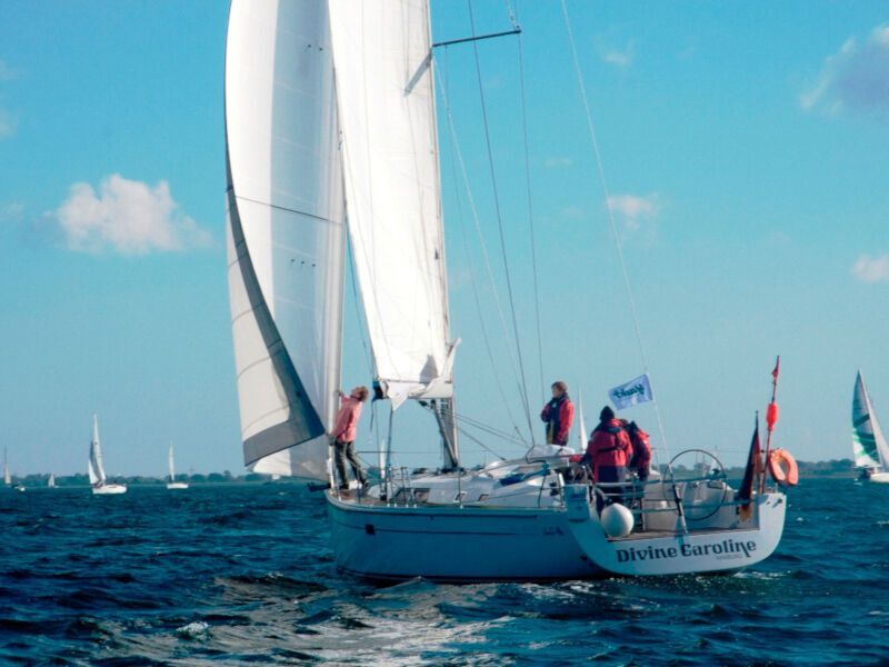 Hanse 430e (ID=6417) - фото 4