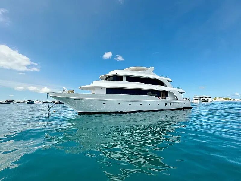 Motoryacht (ID=7012)