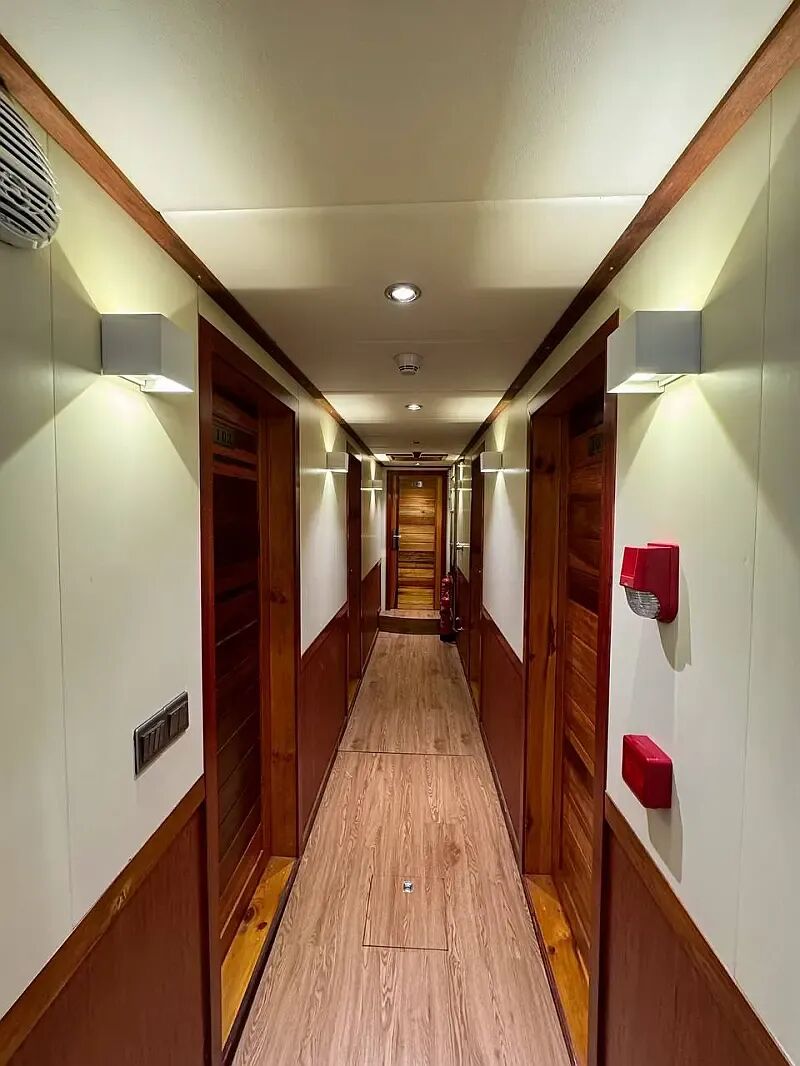 Motoryacht (ID=7012) - фото 10