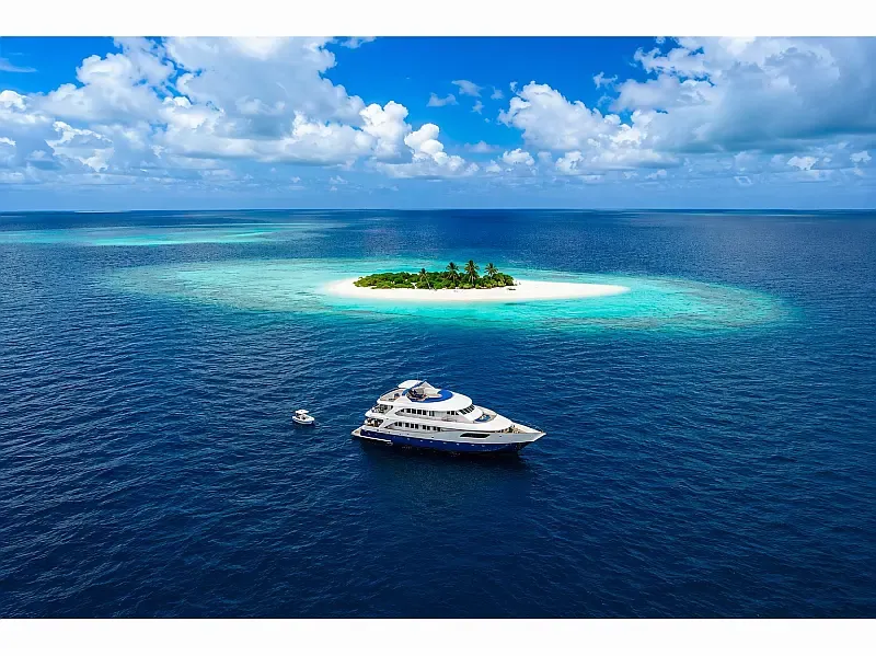Motoryacht (ID=7013)