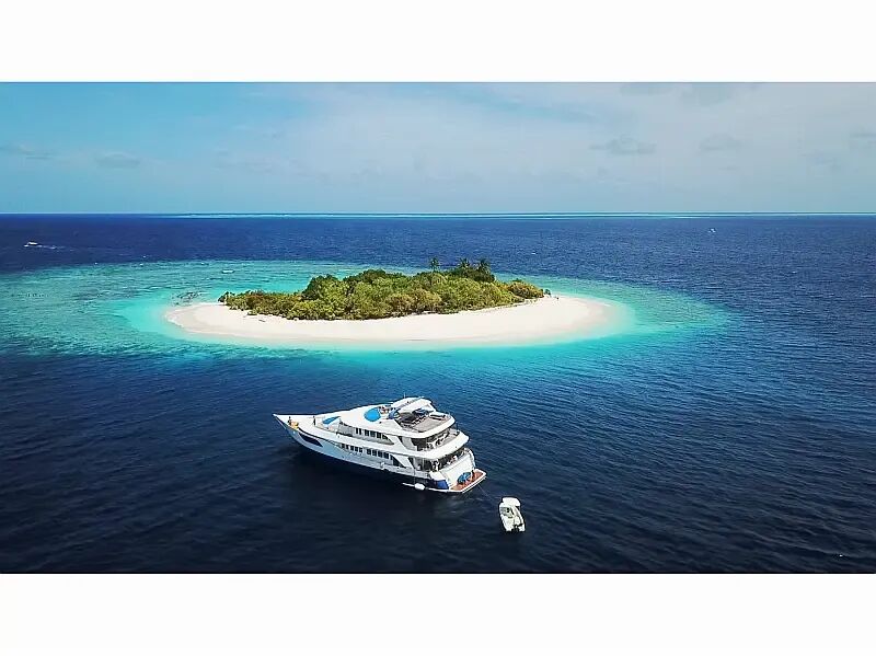 Motoryacht (ID=7013)