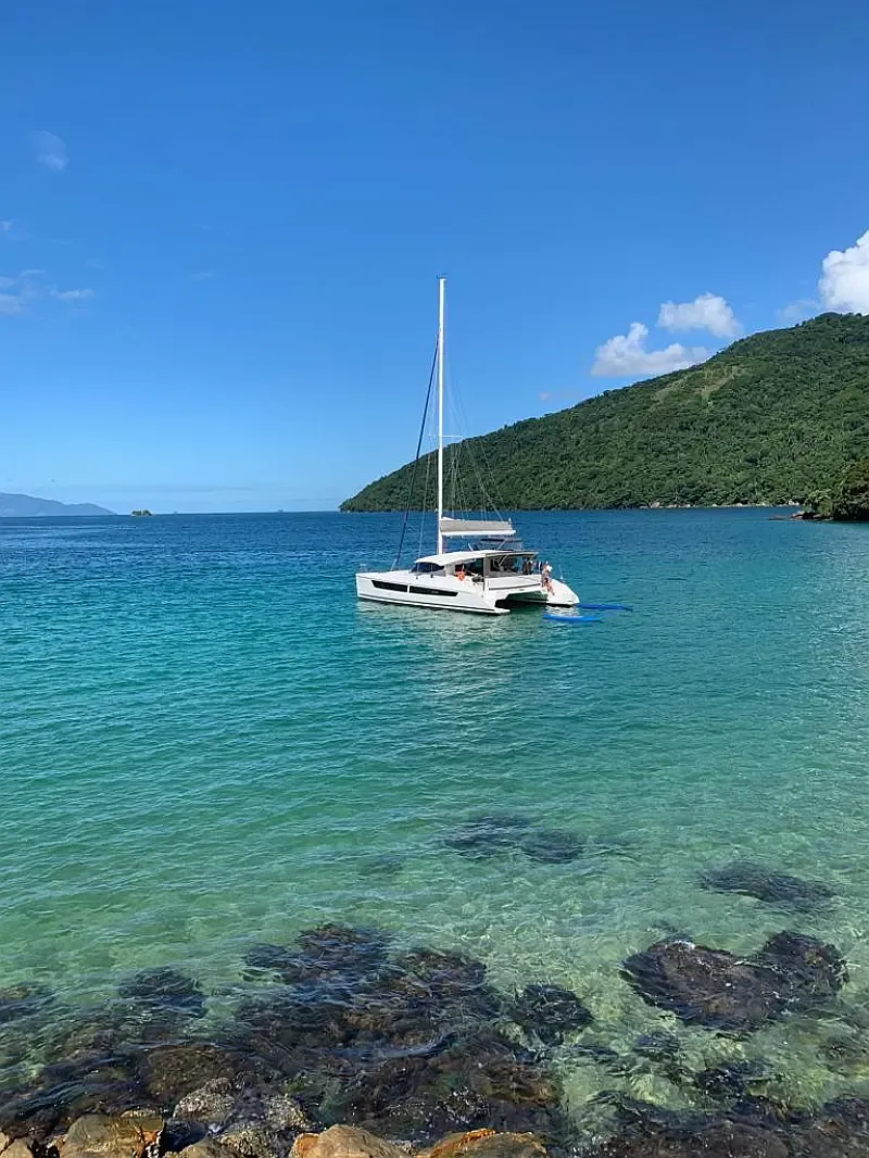 CatFlash 43 (ID=7331) - фото 22