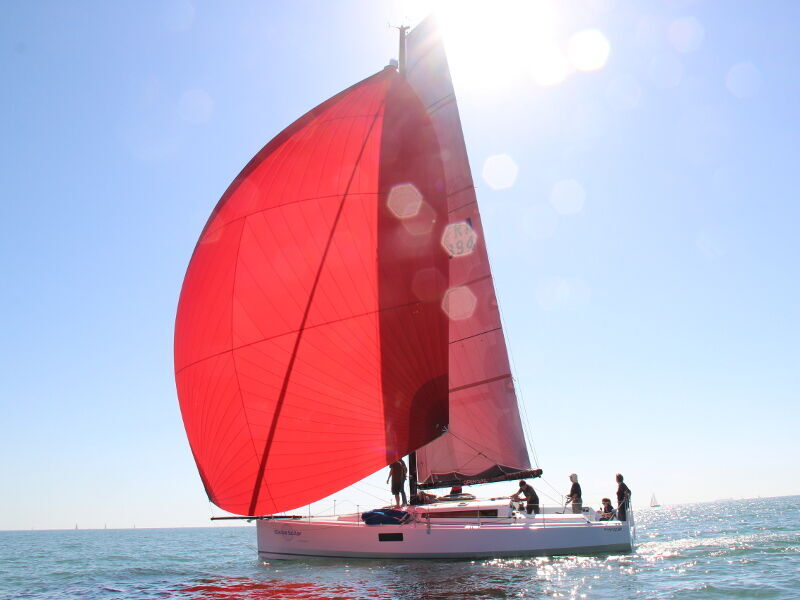 Pogo 12.5 (ID=7608) - фото 7