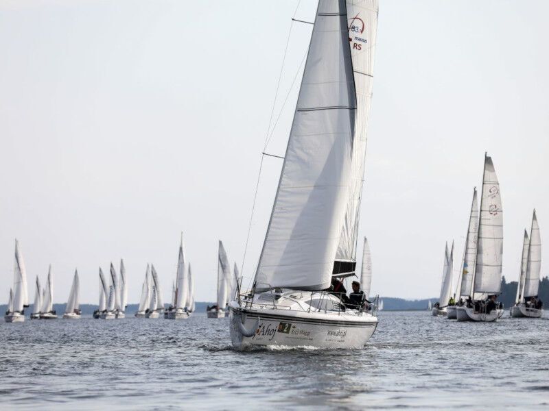 Maxus 33.1 RS (ID=80) - фото 12