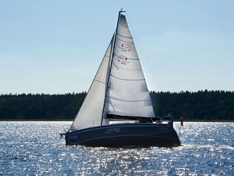 Maxus 33.1 RS (ID=80)