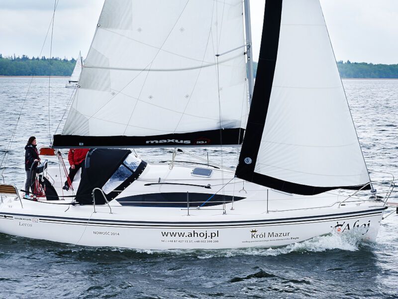 Maxus 33.1 RS (ID=80) - фото 16