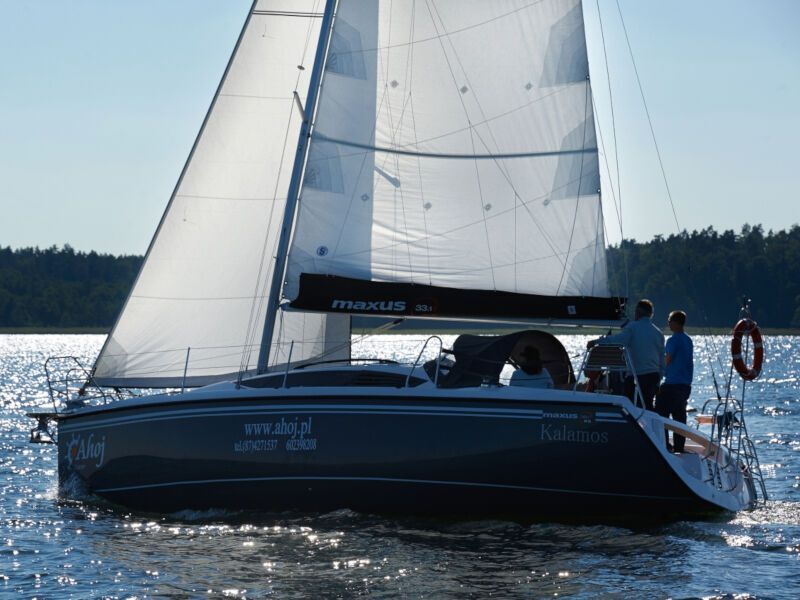 Maxus 33.1 RS (ID=80) - фото 4