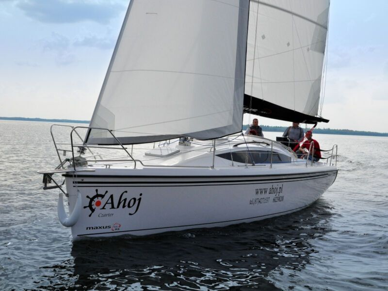 Maxus 33.1 RS (ID=80) - фото 13