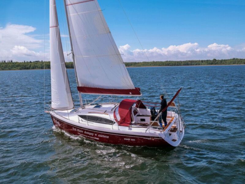 Maxus 33.1 RS (ID=81) - фото 9