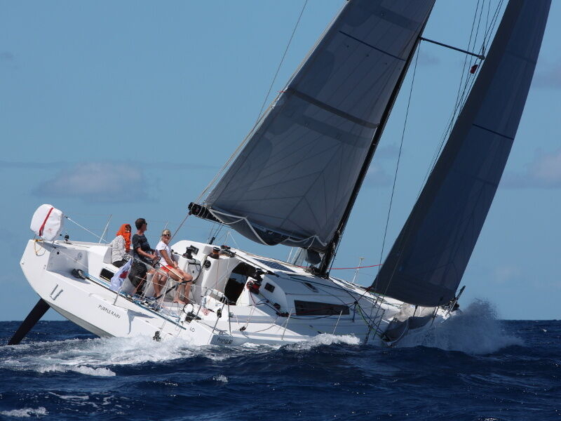 Pogo 12.5 (ID=8136) - фото 4