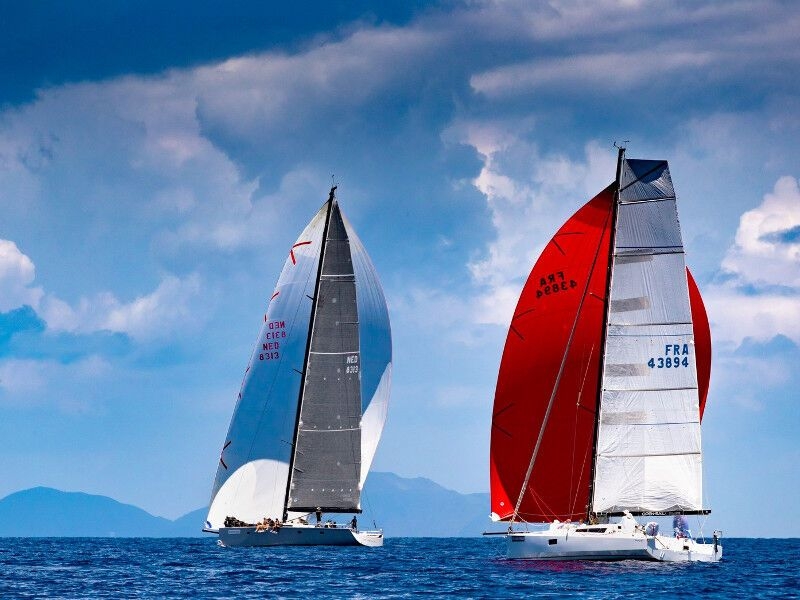 Pogo 12.5 (ID=8136) - фото 6