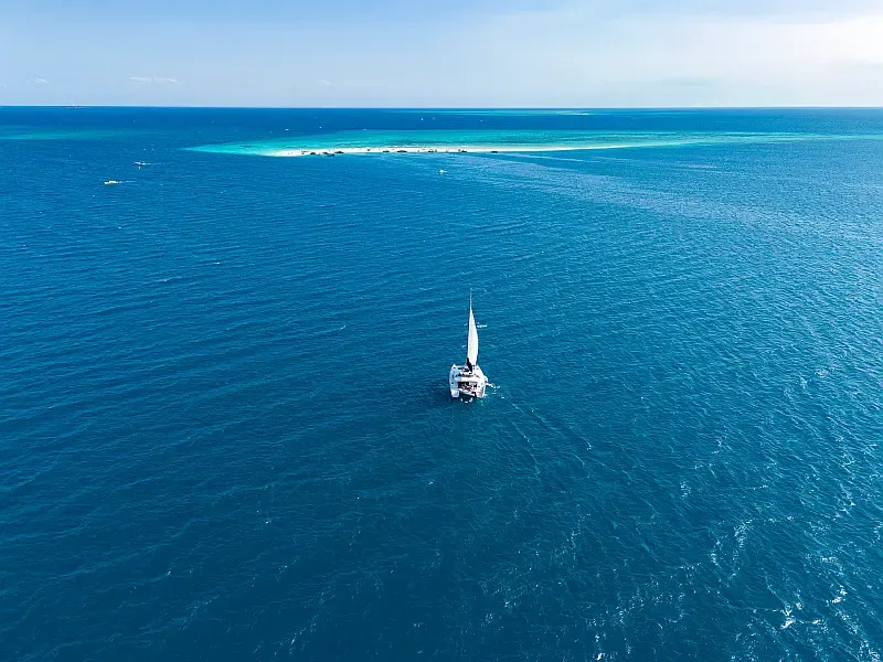 Lagoon 450 Fly (ID=8165) - фото 27