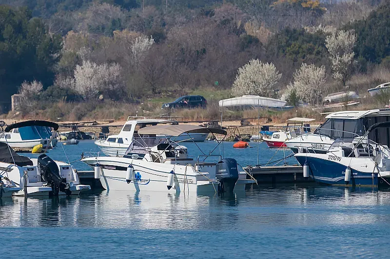Pacific Craft 750 Sun Cruiser (ID=881) - фото 12