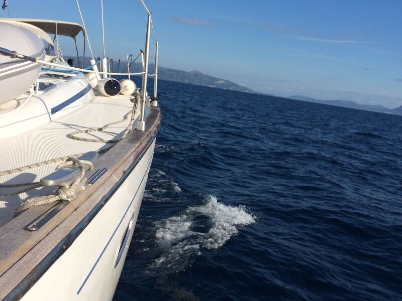 Bavaria 50 Cruiser (ID=906) - фото 16