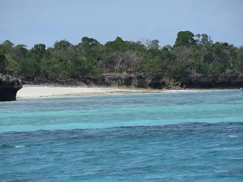 Leopard 48 (ID=9380) - фото 45