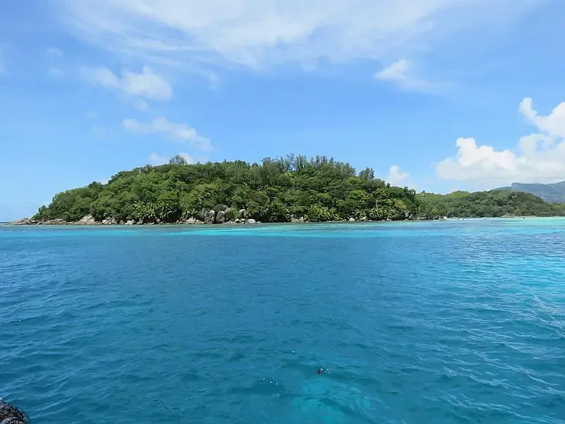 Leopard 48 (ID=9380) - фото 33