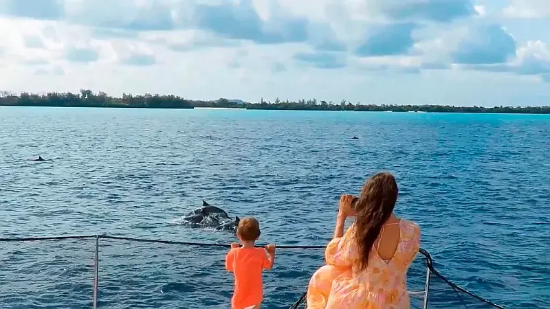 Leopard 48 (ID=9380) - фото 39