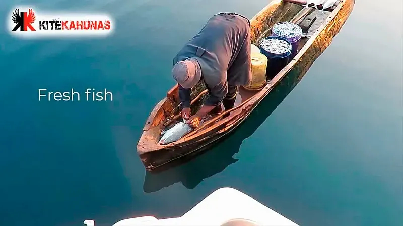 Leopard 48 (ID=9380) - фото 41