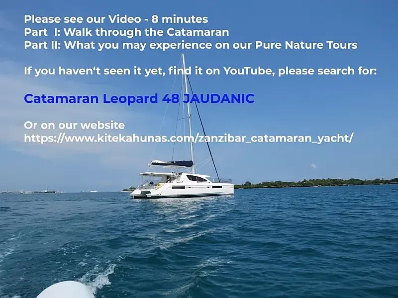 Leopard 48 (ID=9380) - фото 17