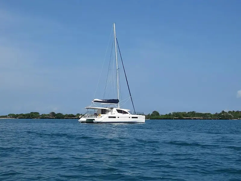 Leopard 48 (ID=9380) - фото 12