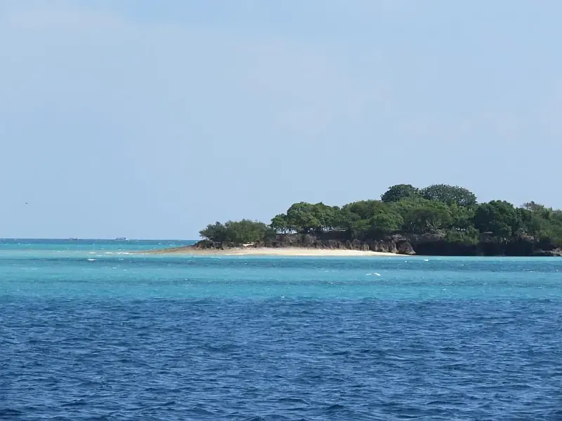 Leopard 48 (ID=9380) - фото 46