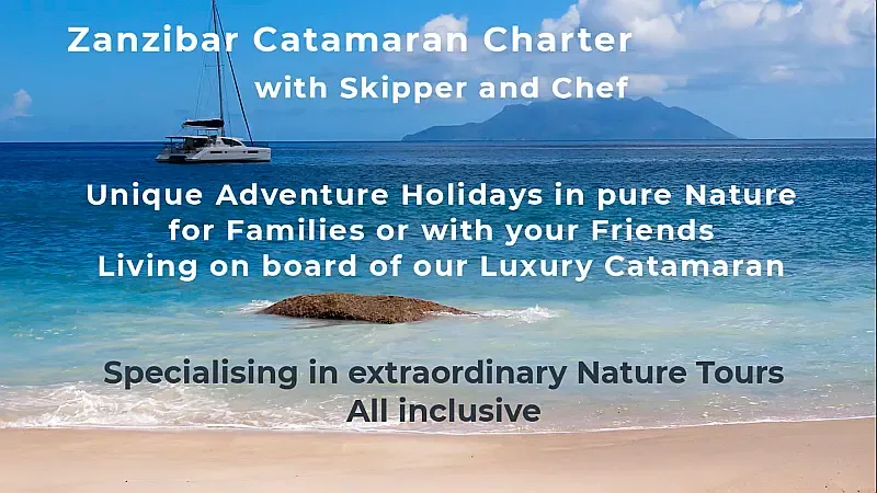 Leopard 48 (ID=9380) - фото 6