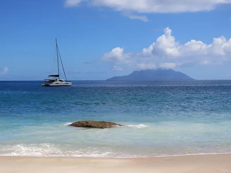 Leopard 48 (ID=9380) - фото 4