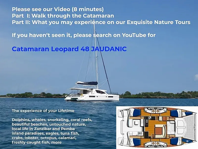 Leopard 48 (ID=9380) - фото 21